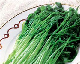 小小豌豆苗全家都受益