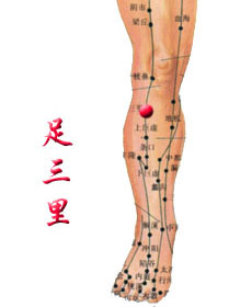 按摩降压穴位图