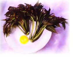 六种水果你可以不常吃,但一定要吃(图)