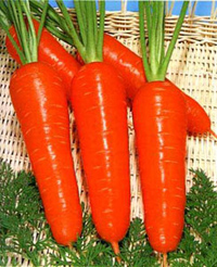 �ñ������Ժ��ܲ���ͼ�� 