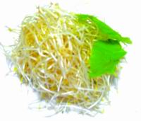 春天吃豆芽不上火(图)