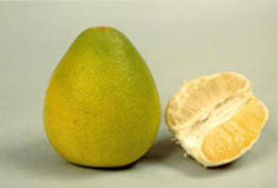 冬吃柚子帮助女人健体养颜(图)