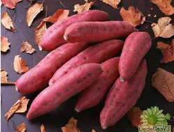 红薯可缓解便秘症状(图)