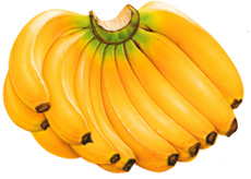 ���㽶��������ɣ�ͼ��