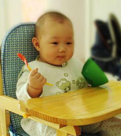 ��ȫιʳ��׼��������ʳ�ͼ��