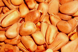 多食坚果能降低患糖尿病风险(图)