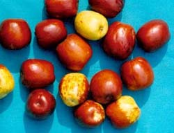 ÿ������50�ˣ�ͼ��