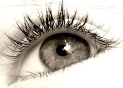 盛夏护眼明目专家支招(图)