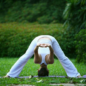 �٤���������ˣ�ͼ�� 