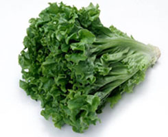 ������ʲô������Ӫ����ͼ��