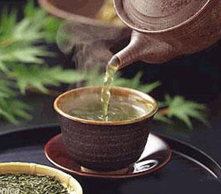 最有效的五大减肥茶叶(图)