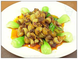 海螺治狐臭但连头吃易中毒(图)