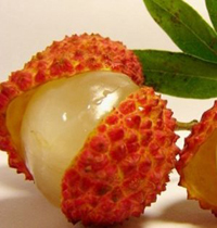 贪吃荔枝当心造成低血糖(图)