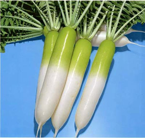 ʳ���е�˳��������Щ��ͼ��