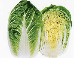 夏天大白菜新吃法(图)