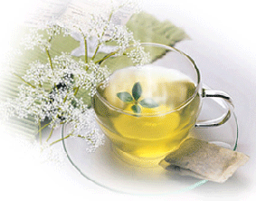 ��������֮ʮ����ѣ�ͼ��