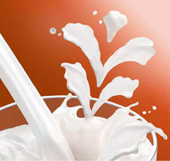 多喝奶制品能让你变苗条(图)