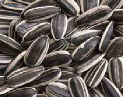 �������ٳ�������ʳ�ͼ��