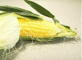 玉米须屡屡保营养(图)