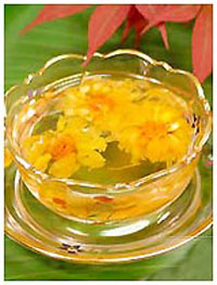 长寿秘诀:喝枸杞水(图)