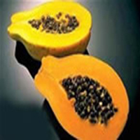 ����������ľ�ϵĳԷ���ͼ��