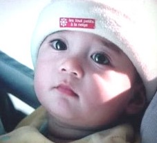 �ñ���Զ���ļ���ʳ��ͼ�� 