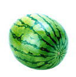 吃西瓜壮阳不靠谱(图)