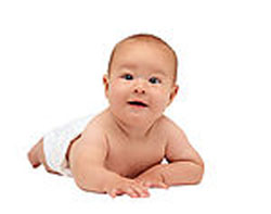 ���Ӥ�׶��������ӣ�ͼ��