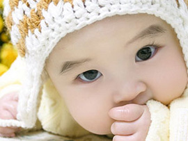 七星茶的功与过(图)