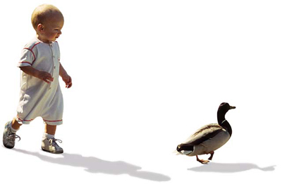 ������������Щ�洦��ͼ��