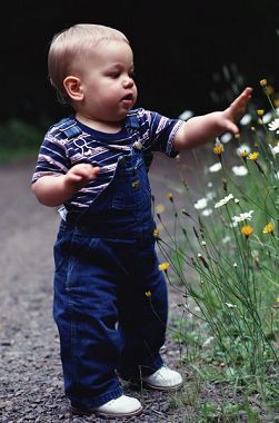 �����VS������ʦ��ͼ��